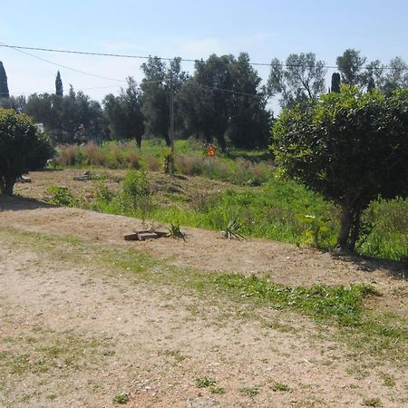 Anemomylos Apartments Ληξούρι Εξωτερικό φωτογραφία