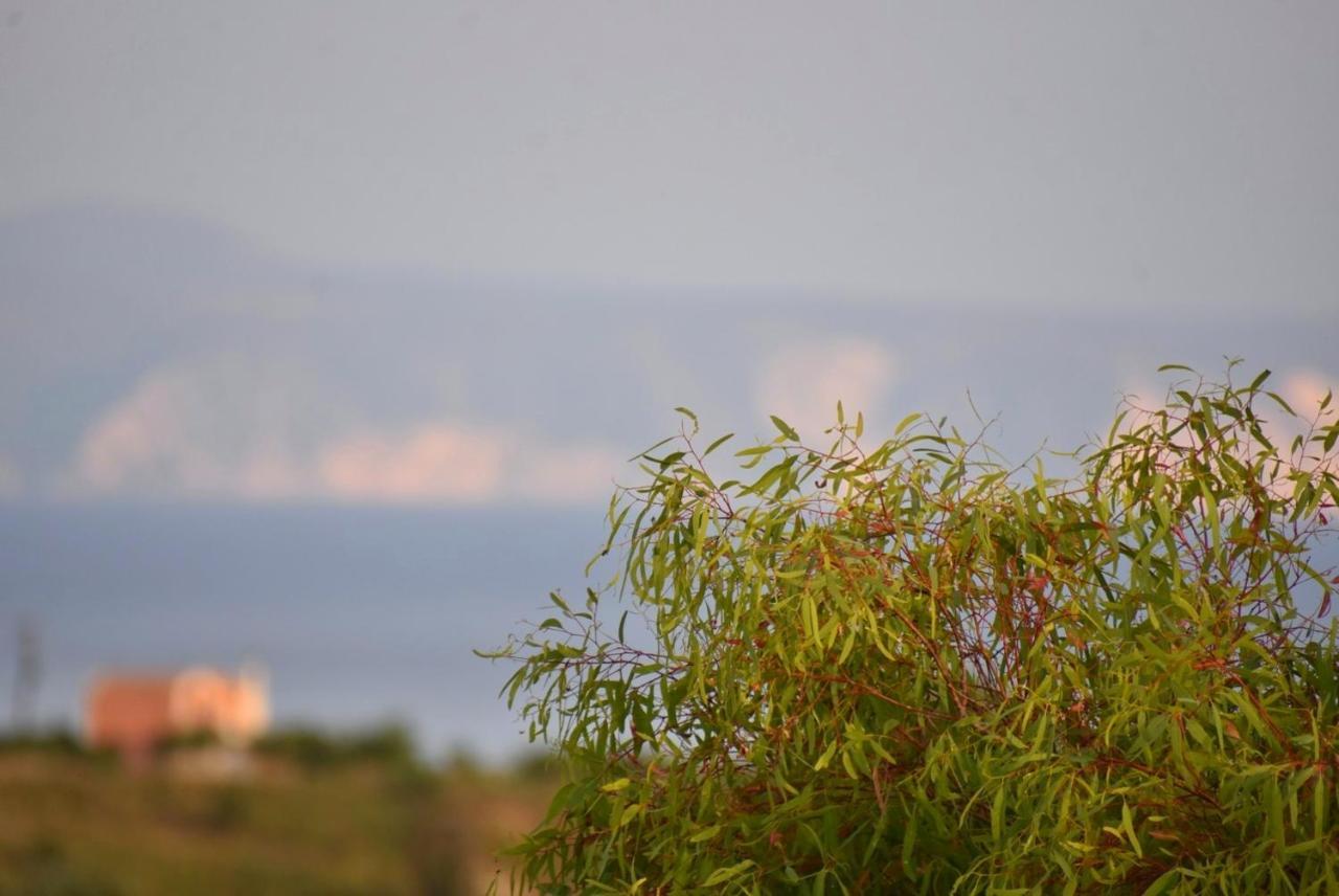 Anemomylos Apartments Ληξούρι Εξωτερικό φωτογραφία
